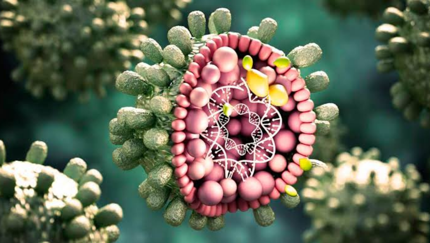 Brasil participa de estudo que busca a cura da hepatite B