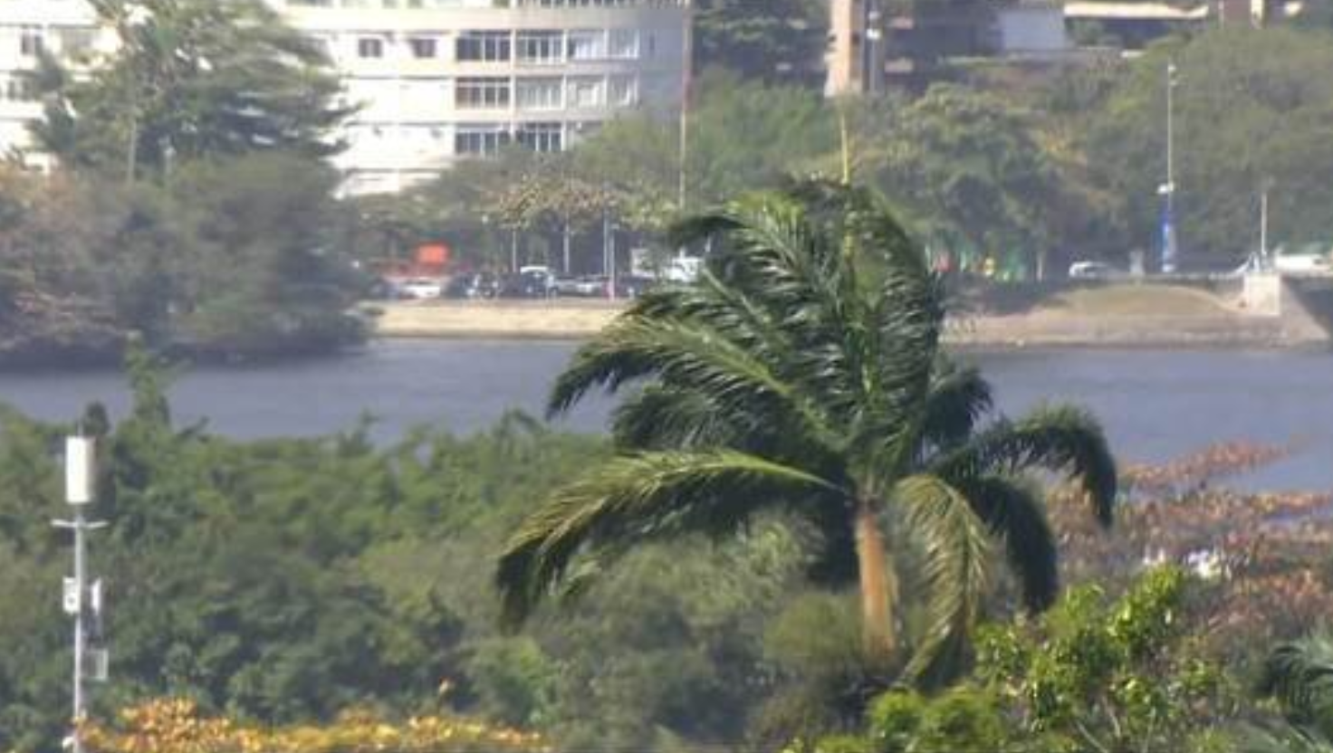 Vento forte atinge diferentes regiões do Rio neste domingo