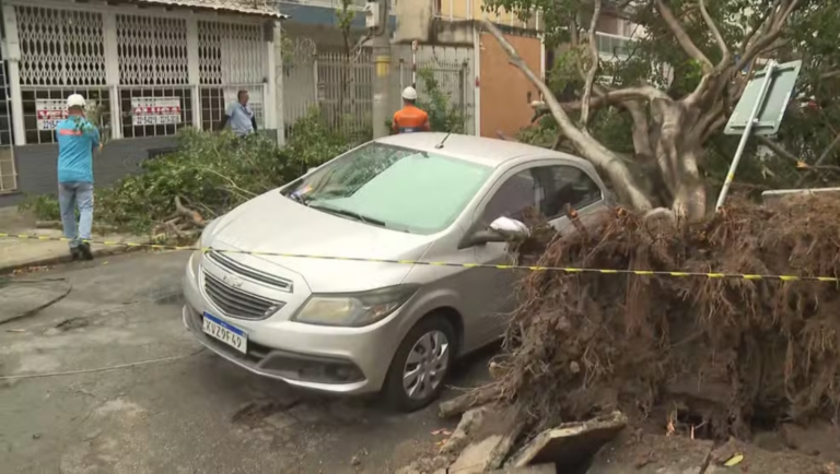 Rio tem ventos de 71 km/h e queda de árvores nesta terça-feira (1)